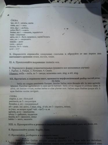 image (1).jpg